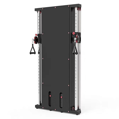 Wall Mounted Functional Trainer